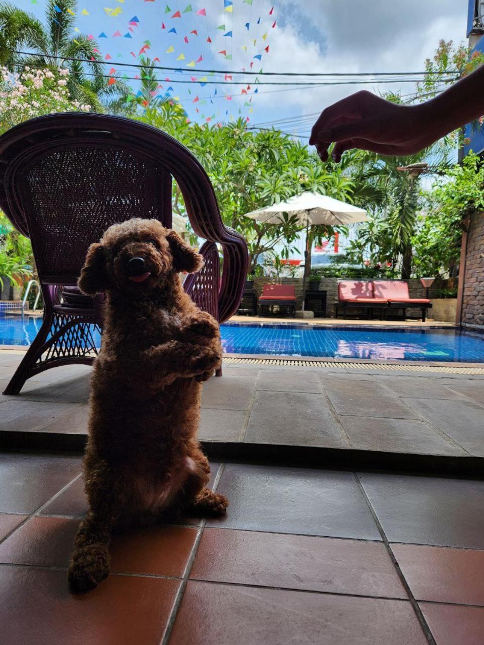 Jasmine Lodge Siem Reap Esterno foto